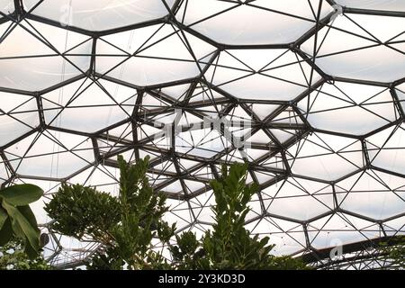 Une vue rapprochée d'une structure géométrique en nid d'abeilles d'un toit de serre, avec un réseau de poutres métalliques et de panneaux translucides, avec f vert Banque D'Images