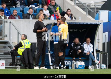 Schiedsrichter Daniel Schlager zeigt Pellegrino Matarazzo, entraîneur (TSG 1899 Hoffenheim, Cheftrainer) die gelbe Karte GER, TSG 1899 Hoffenheim v. Bayer 04 Leverkusen, Fussball, Herren, 1. Bundesliga, 3. Spieltag, saison 24/25, 14.09.2024, LES RÈGLEMENTS DFL/DFB INTERDISENT TOUTE UTILISATION DE PHOTOGRAPHIES COMME SÉQUENCES D'IMAGES ET/OU QUASI-VIDÉO, Foto : Eibner-Pressefoto/Wolfgang Frank Banque D'Images