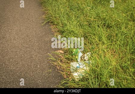 Tas de déchets laissés sur le bord de la route, dans l'herbe, endommageant l'environnement, d'où une herbe plus jaune sous les ordures Banque D'Images