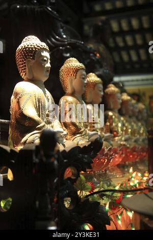 Pagode Giac Lam à Ho Chi min, Vietnam, Asie Banque D'Images