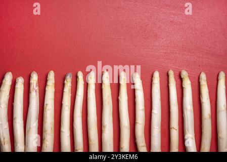 Asperges blanches organiques sur un fond rouge vue de dessus. Asperges blanches allemandes fraîchement récoltées Banque D'Images