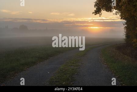 Ruelle sur le bord d'une forêt colorée d'automne, menant à une prairie submergée par la brume, au lever du soleil, pas de gens, près de Schwabisch Hall, Allemagne, EUR Banque D'Images