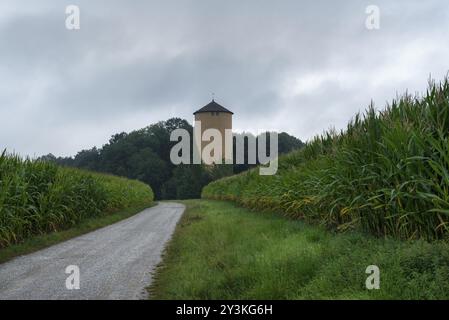 Paysage rural d'été avec une route de campagne traversant des champs de maïs vert, une vieille tour, et la forêt, un jour sombre, près de Schwabisch Hall, Allemagne, EUR Banque D'Images