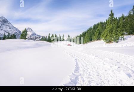 Paysage d'hiver avec les sommets enneigés des montagnes des Alpes, le vert des forêts de sapins et d'une route formé par les voies d'une motoneige, à Ehrwald, Aust Banque D'Images