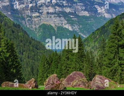 Beau papier peint avec quelques grosses roches de montagne se sont installés dans l'herbe verte des Alpes suisses, avec des forêts et un lac à l'arrière-plan Banque D'Images