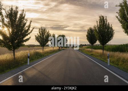 Coucher de soleil d'été sur une route de campagne sans fin et vide, encadrée par des arbres et des champs agricoles, près de Schwabisch Hall, région de Baden Wurttemberg, Allemagne Banque D'Images