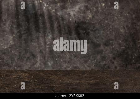 Аbstract mur gris et salle de studio, fond, texture intérieure pour les produits d'affichage ou espace pour le texte avec branche de paume d'ombre Banque D'Images
