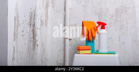 Accessoires pour le nettoyage des taches de bactéries toxiques moisissures et champignons sur le fond d'un mur moisi avec espace de copie pour le texte Banque D'Images