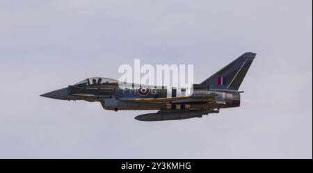 Duxford, Cambridgeshire, Royaume-Uni. 14 septembre 2024. Un Eurofighter Typhoon FGR.4 de la RAF piloté par le Flight Lieutenant David 'Turbo' Turnbull du 29e escadron basé à la RAF Coningsby dans le Lincolnshire présente une exposition étonnante au salon aérien de la bataille d'Angleterre de l'IWM Duxford. Le schéma de peinture de chasseur de jour de l'ère Aircraft 1944 rappelle un Hawker Typhoon du 257e Escadron. Cet avion est affectueusement connu sous le nom de « Moggy ». Crédit : Stuart Robertson/Alamy Live News. Banque D'Images