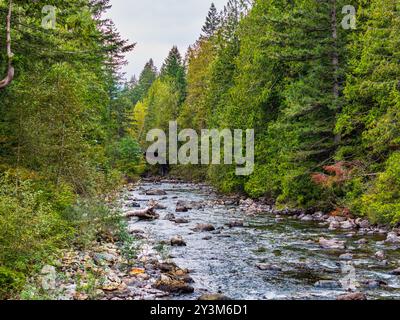 Vue de la rivière Snoqualmie depuis un drone à North Bend, Washington. Banque D'Images