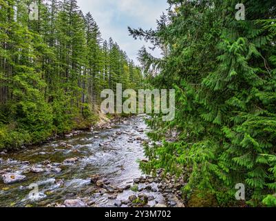 Vue de la rivière Snoqualmie depuis un drone à North Bend, Washington. Banque D'Images