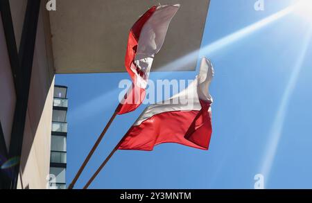 Deux drapeaux polonais sont représentés agitant au vent contre un ciel dégagé. Les couleurs rouge et blanche des drapeaux se distinguent de manière éclatante car ils flottent à côté de sid Banque D'Images