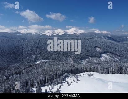 Vue aérienne d'un paysage hivernal à couper le souffle avec une vaste forêt enneigée qui s'étend vers l'horizon. De majestueuses montagnes enneigées s'élèvent au loin sous un ciel bleu clair. Carpates, Ukraine. Banque D'Images