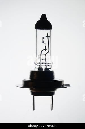 Lampe halogène à incandescence pour phare de voiture, ampoule à contacts métalliques, bornes, xénon sur fond blanc isolé Banque D'Images