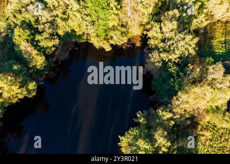 Vue de dessus d'un petit étang pittoresque entouré de forêt Banque D'Images