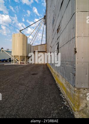 Bacs de stockage de grain modernes brillants à côté d'un vieil élévateur de grain avec parement en métal ondulé Banque D'Images