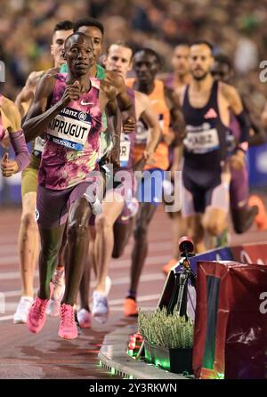 Boaz Kiprugut, du Kenya, participe à la course masculine du 1500 m à la finale de la Memorial Van Damme Diamond League au stade King Baudouin à Bruss Banque D'Images