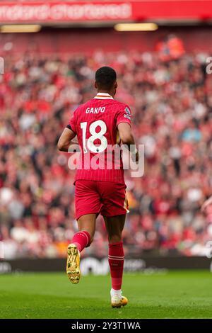 Cody Gakpo de Liverpool lors du match de premier League entre Liverpool et Nottingham Forest à Anfield, Liverpool le samedi 14 septembre 2024. (Photo : Steven Halliwell | mi News) crédit : MI News & Sport /Alamy Live News Banque D'Images