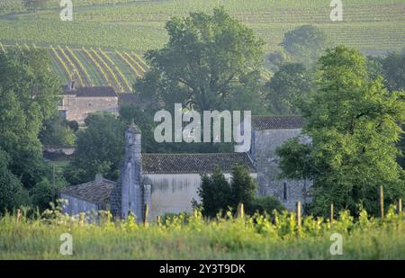 FRANCE, CHARENTE (16) VIGNOBLE DE COGNAC, DOMAINE DE CHAMPAGNE CHARENTAISE, SONNEVILLE, ÉGLISE ROMAINE Banque D'Images