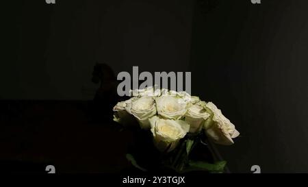Roses blanches fleurissant sur un fond sombre. Roses blanches rotatives sur fond noir. Roses blanches et ambiance noire Banque D'Images