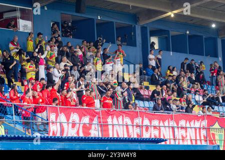 Itajai, Brésil. 14 septembre 2024. SC - ITAJAI - 09/14/2024 - BRÉSILIEN B 2024, BRUSQUE x VILA NOVA-GO - fans de brusque lors du match contre Vila Nova-GO au stade Hercilio Luz pour le championnat brésilien B 2024. Photo : Lucas Gabriel Cardoso/AGIF (photo : Lucas Gabriel Cardoso/AGIF/Sipa USA) crédit : Sipa USA/Alamy Live News Banque D'Images