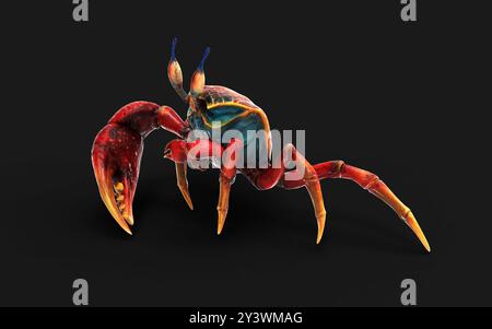 Illustration 3d d'un crabe Fiddler. une carapace forte pour la protection et une griffe orange géante comme arme de défense, photo macro sur fond noir Banque D'Images