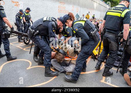 Schiedam, Schiedam, pays-Bas. 14 septembre 2024. Des policiers néerlandais arrêtent des activistes climatiques. Le 14 septembre 2024, extinction Rebellion, Letzte Generation et d'autres groupes de militants pour le climat bloquent l'autoroute A12 à la Haye. Leur principal grief était que le gouvernement néerlandais mette fin aux subventions aux entreprises de combustibles fossiles. (Crédit image : © James Petermeier/ZUMA Press Wire) USAGE ÉDITORIAL SEULEMENT! Non destiné à UN USAGE commercial ! Banque D'Images