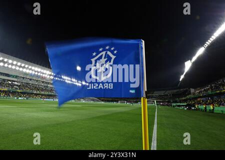 7 septembre 2024 : stade Couto Pereira, Curitiba, Brésil : qualifications pour la Coupe du monde CONMEBOL 2026, Brésil - Équateur : emblème du Brésil sur le drapeau Banque D'Images