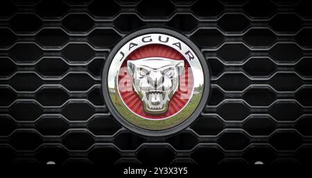 Logo Jaguar sur la calandre Banque D'Images