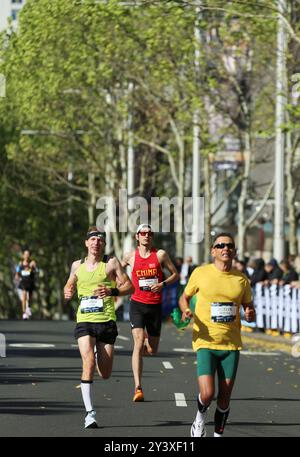 Sydney, Australie. 15 septembre 2024. Les participants courent pendant le marathon de Sydney 2024 à Sydney, Australie, le 15 septembre 2024. Crédit : ma Ping/Xinhua/Alamy Live News Banque D'Images