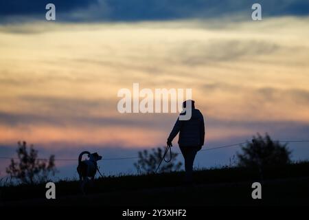 Unlingen, Allemagne. 15 septembre 2024. Une femme promène son chien le matin juste avant le lever du soleil dans des températures à un chiffre crédit : Thomas Warnack/dpa/Alamy Live News Banque D'Images