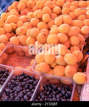 Fruits de saison biologiques dans un grand assortiment au marché de l'agriculteur, fond alimentaire, vertical. Banque D'Images