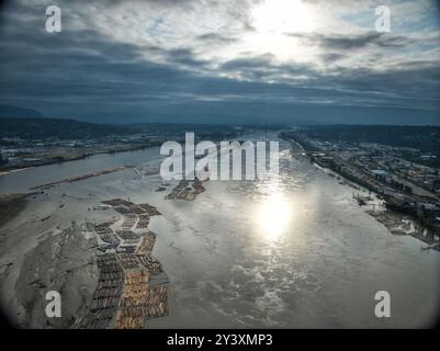 Canada, Vancouver 11. Août 2024 : Hervesting bois à Vancouver Banque D'Images