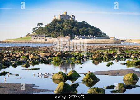 St Michael's Mount, Marazion Cornwall Angleterre, marée très basse exposant des piscines rocheuses pour les chiens à jouer dans un ensoleillé très chaud, Banque D'Images