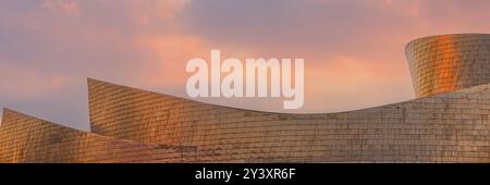 Une large image panoramique 3:1 avec des détails sur le toit du célèbre musée Guggenheim dans la ville espagnole de Bilbao avec ses formes distinctives et argent A. Banque D'Images