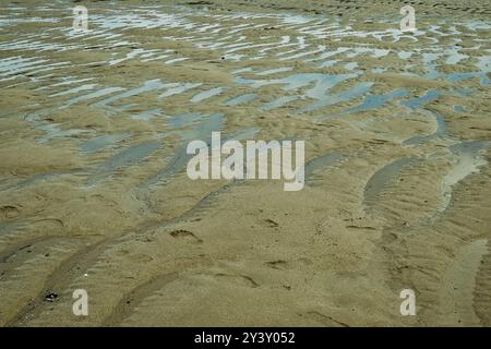 Une plage de sable avec des motifs humides créés par l'eau qui recule, présentant des ondulations et des empreintes de pas dans le sable. La scène capture la beauté naturelle du Banque D'Images