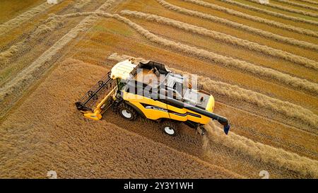 Moissonneuse-batteuse Harvester Gardenstown Aberdeenshire Scotland avec grain dans la trémie Banque D'Images