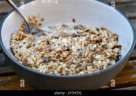 Muesli Banque D'Images