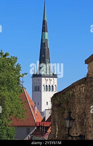 Église St Olaf, Tallinn Banque D'Images