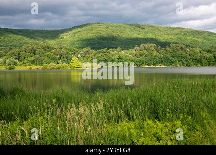 Vies des herbes, du feuillage et des montagnes verdoyantes qui longent la rivière West à Brattleboro, Vermont. Banque D'Images