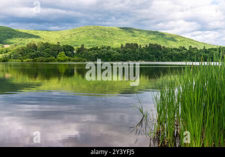 Vies des herbes, du feuillage et des montagnes verdoyantes qui longent la rivière West à Brattleboro, Vermont. Banque D'Images