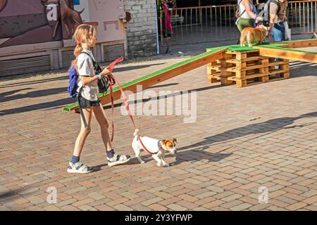 Happy Girl forme un chiot Jack Russell Terrier adulte sur un terrain d'entraînement par une journée ensoleillée. Agilité Banque D'Images