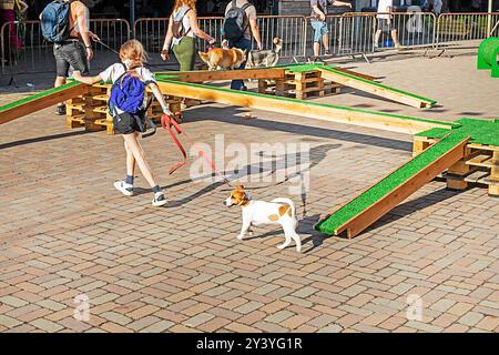 Happy Girl forme un chiot Jack Russell Terrier adulte sur un terrain d'entraînement par une journée ensoleillée. Agilité Banque D'Images