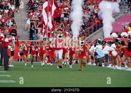 Houston, États-Unis. 14 septembre 2024. Les Cougars de Houston sortent du tunnel pendant les festivités d'avant-match le 14 septembre 2024 au stade TDECU de Houston, Texas. Les Cougars de Houston ont battu les Rice Owls 33-7. (Photo par : Jerome Hicks/Sipa USA) crédit : Sipa USA/Alamy Live News Banque D'Images