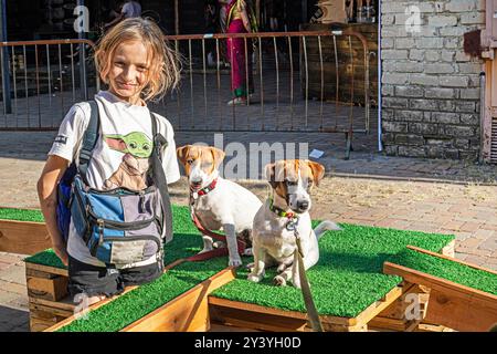 Happy Girl forme un chiot Jack Russell Terrier adulte pour une friandise sur un terrain d'entraînement par une journée ensoleillée. Agilité Banque D'Images