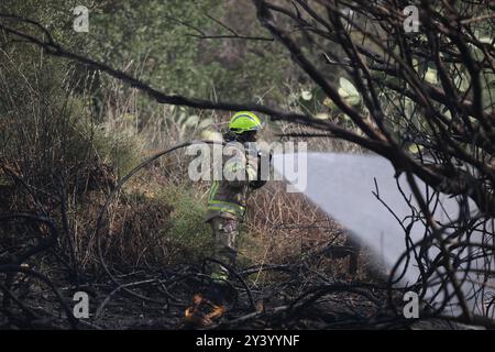 LOD, Lod dans le centre d'Israël. 15 septembre 2024. Un pompier travaille à éteindre un incendie causé par un missile sol-sol, près de Lod dans le centre d’Israël, le 15 septembre 2024. Un missile sol-sol à longue portée tiré depuis le Yémen a frappé dimanche une zone inhabitée près de l'aéroport international d'Israël à l'extérieur de tel Aviv, selon des sources israéliennes. Crédit : Jamal Awad/Xinhua/Alamy Live News Banque D'Images