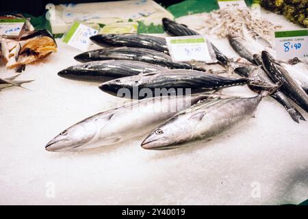 Fruits de mer exposés au Mercat Boqueria Barcelone, Catalogne, Espagne. Banque D'Images