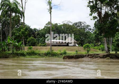 Rivière Napo, forêt amazonienne, parc national de Yasuní, Équateur, Amérique du Sud Banque D'Images