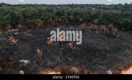 Rondonia. 12 septembre 2024. Une photo de drone prise le 12 septembre 2024 montre un site après un incendie à Porto Velho, état de Rondonia, Brésil. Les données récemment publiées par le Centre national de surveillance et d'alerte précoce des catastrophes naturelles du Brésil montrent que cette année, la sécheresse a touché environ 5 millions de kilomètres carrés, touchant environ 59 pour cent du territoire du pays. Crédit : Wang Tiancong/Xinhua/Alamy Live News Banque D'Images