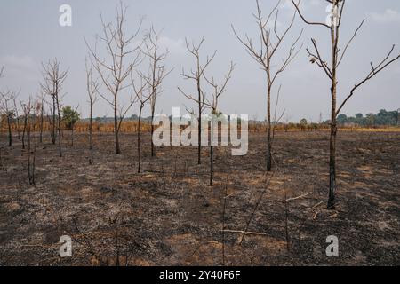 Rondonia. 12 septembre 2024. Cette photo prise le 12 septembre 2024 montre un site après un incendie à Porto Velho, état de Rondonia, Brésil. Les données récemment publiées par le Centre national de surveillance et d'alerte précoce des catastrophes naturelles du Brésil montrent que cette année, la sécheresse a touché environ 5 millions de kilomètres carrés, touchant environ 59 pour cent du territoire du pays. Crédit : Wang Tiancong/Xinhua/Alamy Live News Banque D'Images